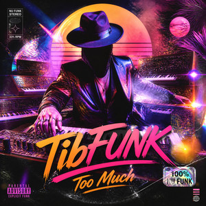Too Much by TibFUNK