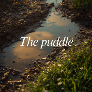 The Puddle by I AM Cricchi