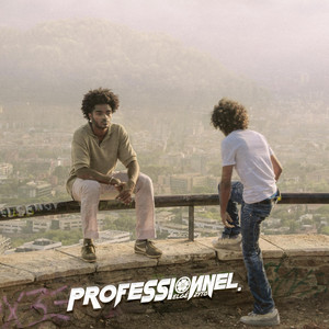 Portada de Professionnel