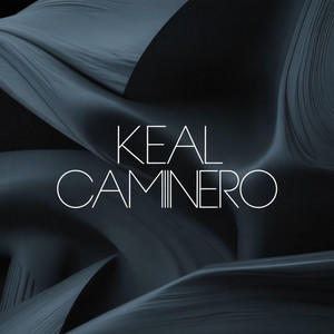 SIN DORMIR by Keal Caminero