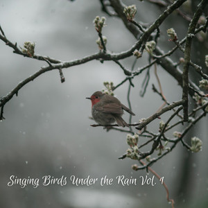 Singing Birds Under the Rain Vol. 1 album