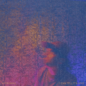 I Can Tell It's Love by Hydromag