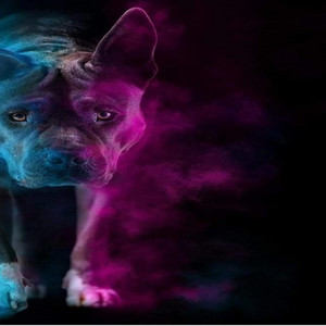 Chasing future Memories