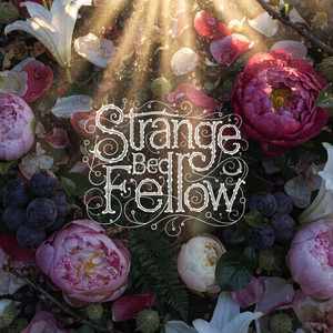 Strange Bed Fellow by Esthemo