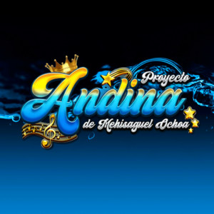 Proyecto Andina de Mehisaguel Ochoa - Amor Sincero