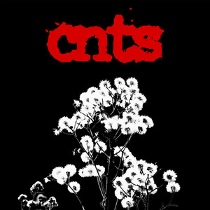 Regret by CNTS