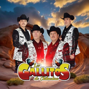 LF MUSIC MEX-USA - Porque me perdí unos días-Los Gallitos de Chihuahua