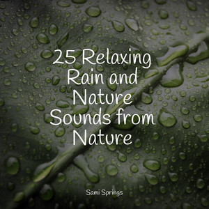 25 Relaxing Rain and Nature Sounds from Nature album