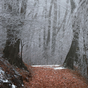 Whispering Frost by DGSoundx