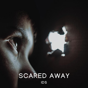 Scared Away by IDS