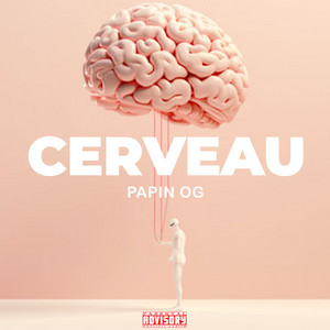 Papin OG - Cerveau