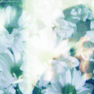 Wind Sways Roses in My Hands