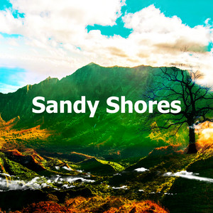 Sandy Shores album