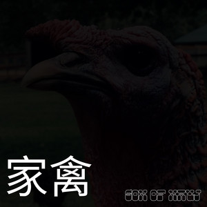 家禽