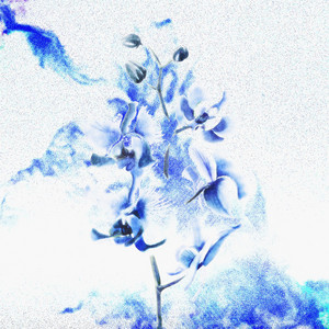 CAUCHEMAR INFINI by Shiny