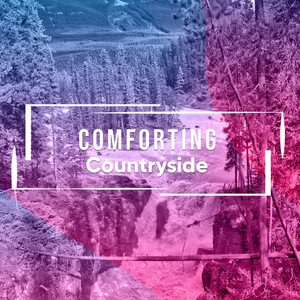 # 1 Album: Comforting Countryside album