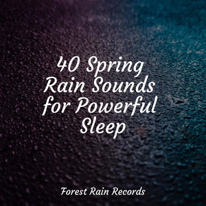40 Spring Rain Sounds for Powerful Sleep album