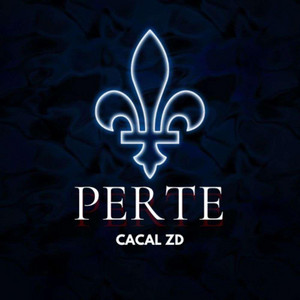 Portada de PERTE