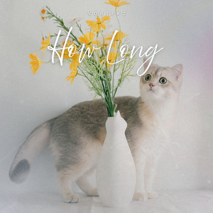 How Long - Radio Edit by Vortekz