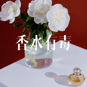 闰新爱唱歌 - 香水有毒(爱过七八十个男人) - X.IN Vocals
