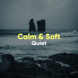 # 1 Album: Calm & Soft Quiet album