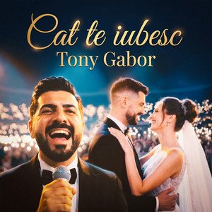 Cat Te Iubesc by Tony Gabor