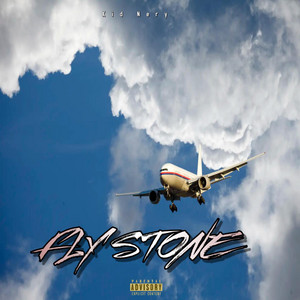 Fly Stone by KidNery