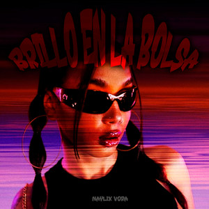 Brillo en la Bolsa by Naylix Vora