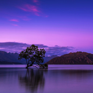Kevin Westwood - Nature