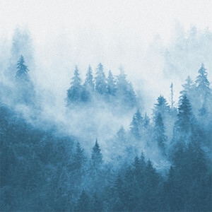 Dominus Soul - Blue Forest