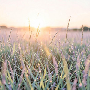 Good Morning Sun by Luna la Fait