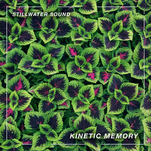 Bloom by Stillwater Sound