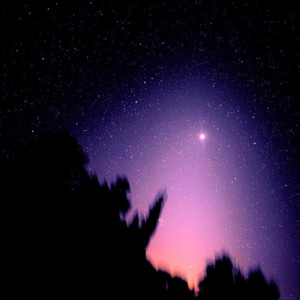 north star by Zebiven