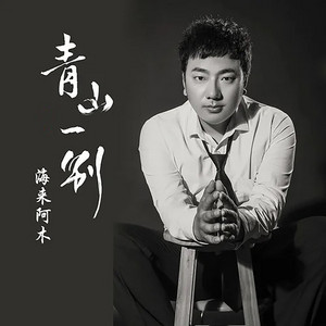 青山一别 - DJ沈念版 by 海来阿木