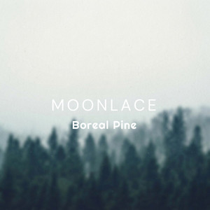 Boreal Pine by Moonlace