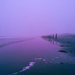 Still Glow by Moon Garden