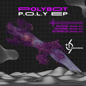Polybot cover