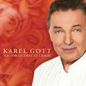 Ich hab gelernt zu lieben cover
