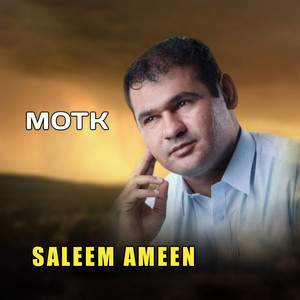 Saleem Ameen - Zaheer E Nood