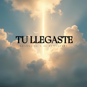 Tu Llegaste