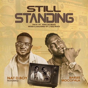 Nat D. Boy - Still Standing (feat. Barsee Mocopala Kiloda)