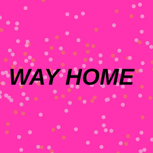 Way Home by sammywill407