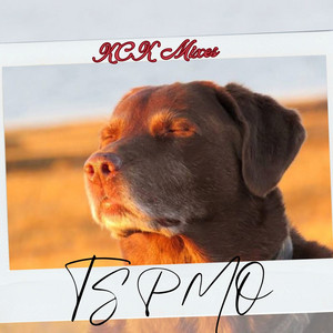 Bedtime Baby Lullabies - Ts Pmo