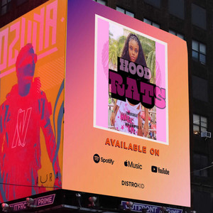 ToÑeDèTigaa - Damage Kontrol