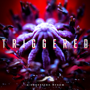 Triggered by A Shoreline Dream