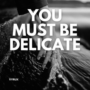 You Must Be Delicate - Radio Edit by Vyrux