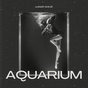 Aquarium by Lunar Wave