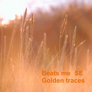 Golden Traces album
