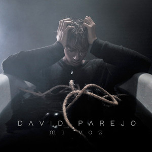DAVID PAREJO - Mi voz