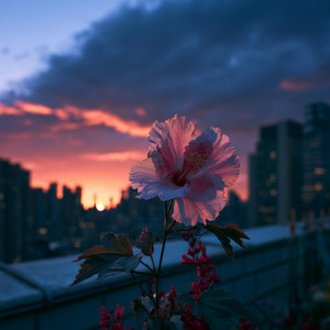 Sunrise On The Rooftop by Maofdi Music